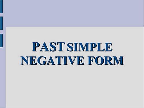 negative Past Simple