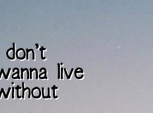 Existe alguna diferencia entre Want y Wanna