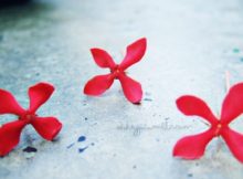 Qué sigue después de “single”, “double”, “triple”…?